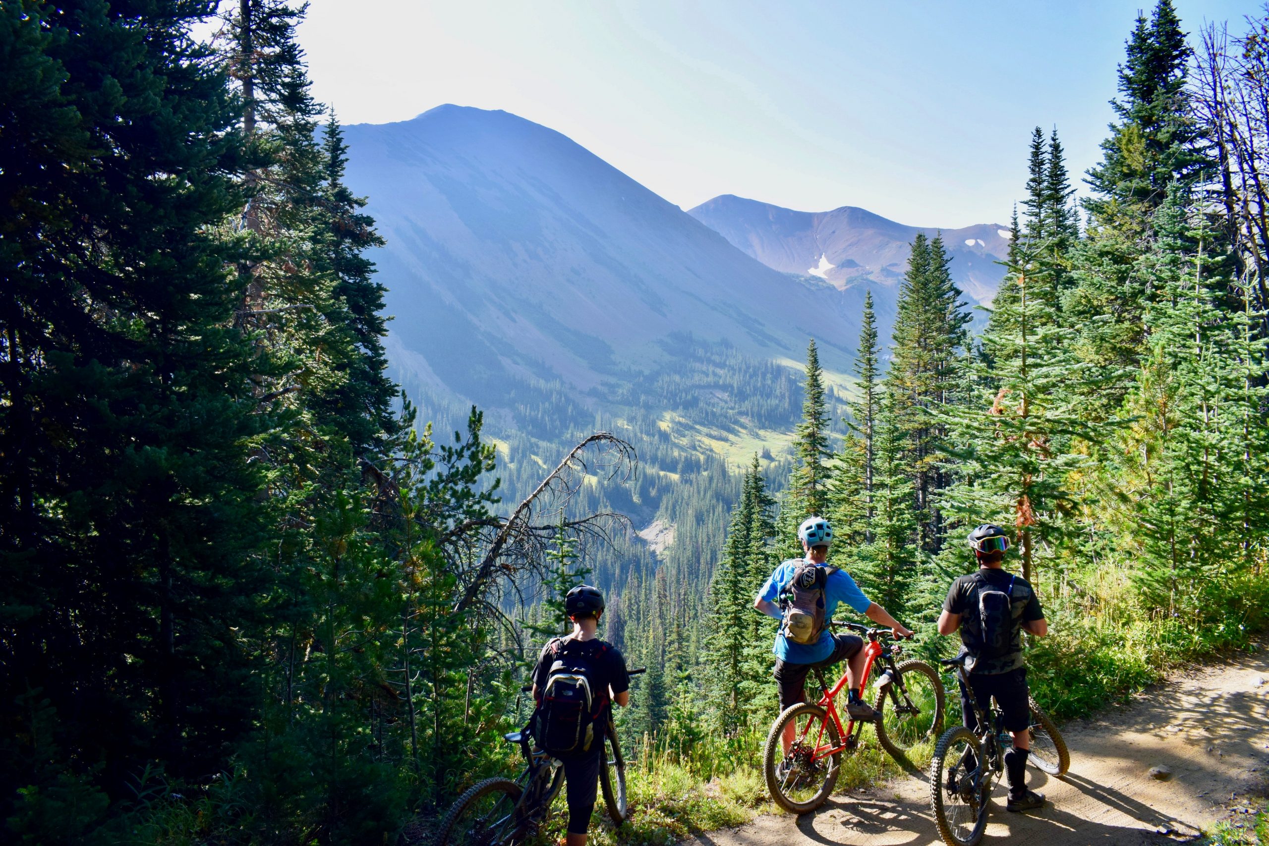 Group of three people on a mountain bike trail in the summer